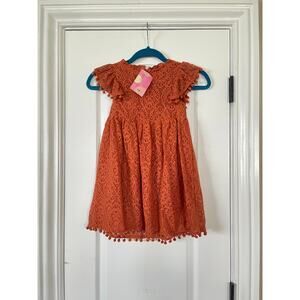 NWT Girls Lace Pom Pom Flutter Sleeve Princess Party Dress 5T